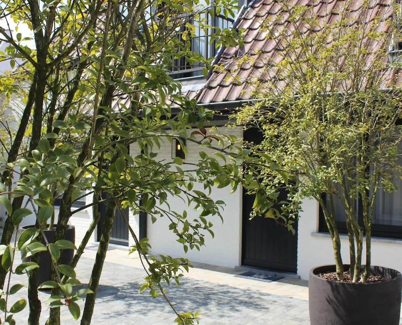 Dukes' Palace Residence - By Dukes' Hotel Collection Bruges